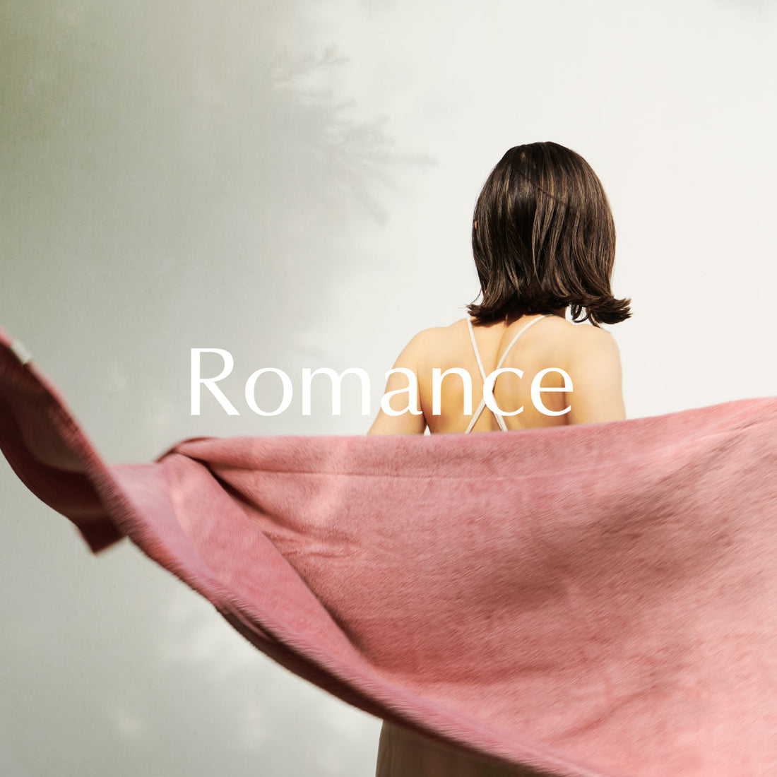 Premium Cotton 限定色"Romance(ロマンス)"登場&プレゼントキャンペーン