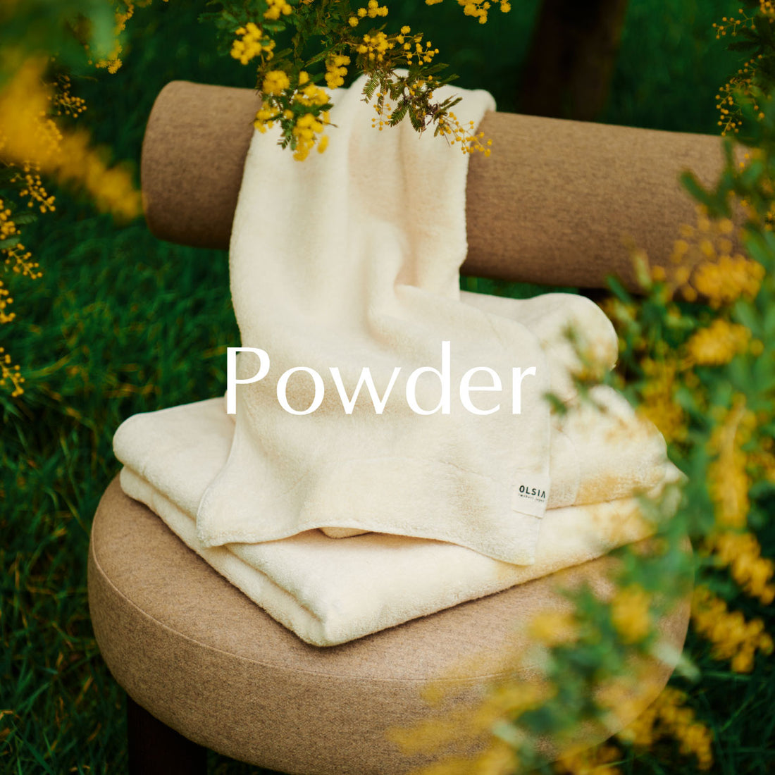 Premium Cotton 新色"Powder(パウダー)"登場
