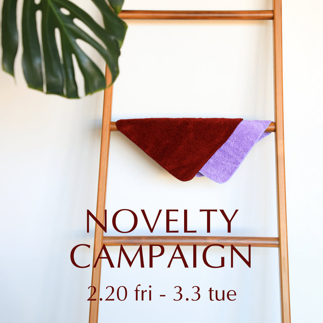 NOVELTY PRESENT 2/20(金)〜3/3(火)